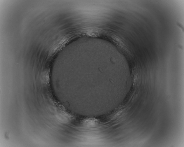 X0000099380595200805221808