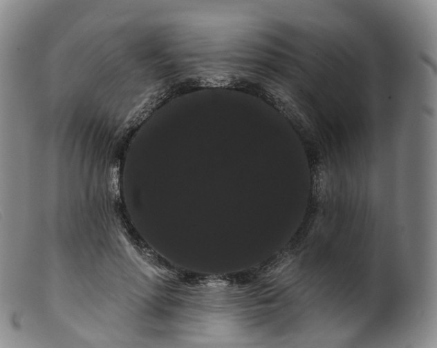 X0000099380598200805221808