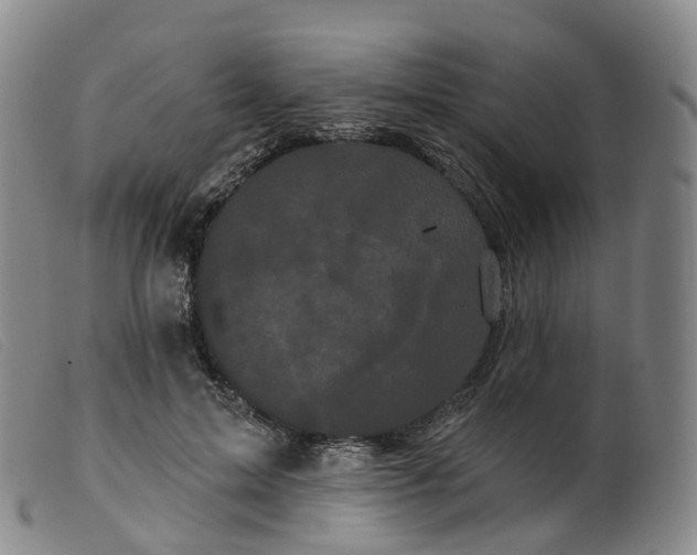 X0000099380599200805221808