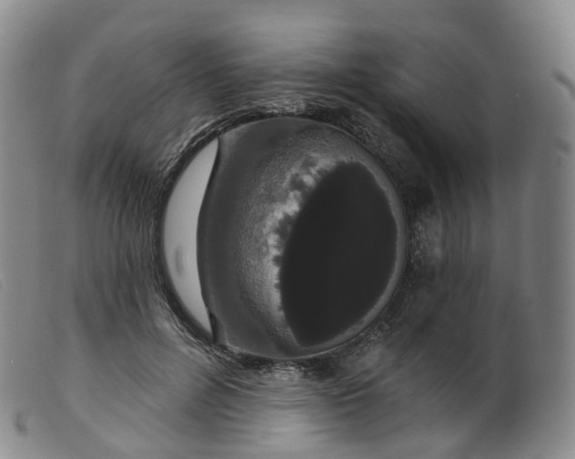 X0000099380600200805221808