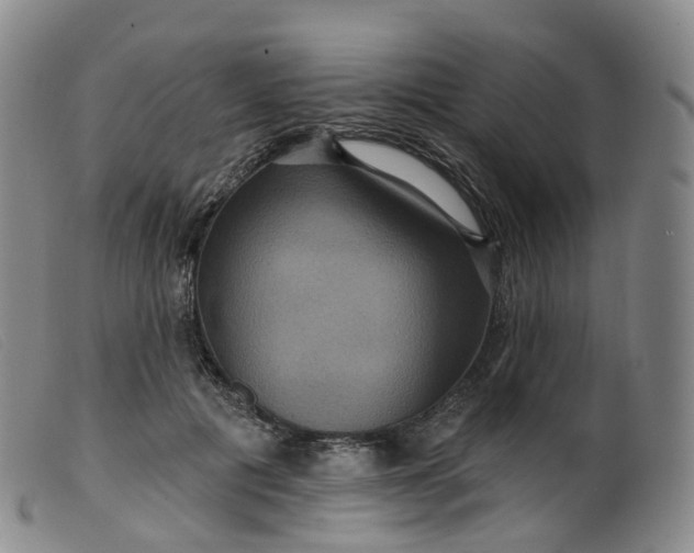 X0000099380601200805221808