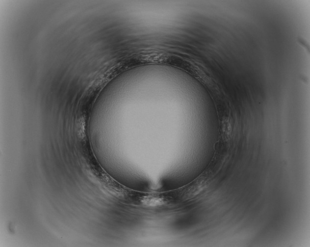 X0000099380602200805221808