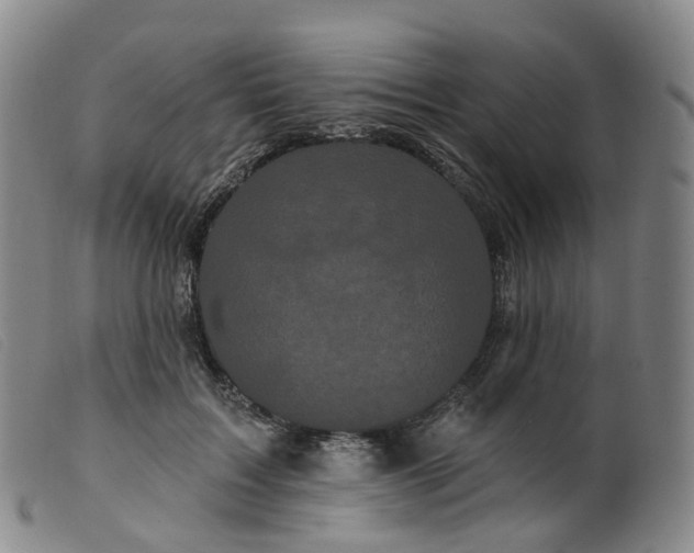 X0000099380603200805221808