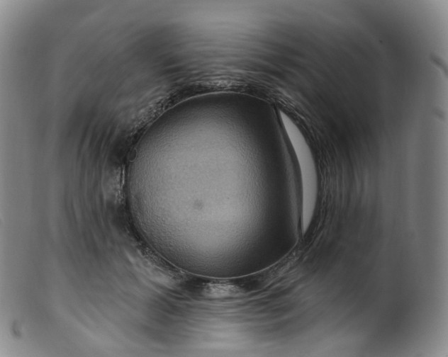 X0000099380605200805221808