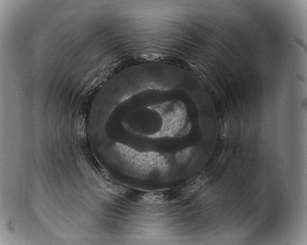 X0000099380606200805221808