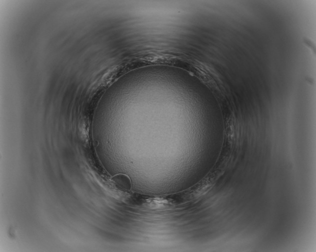 X0000099380607200805221808