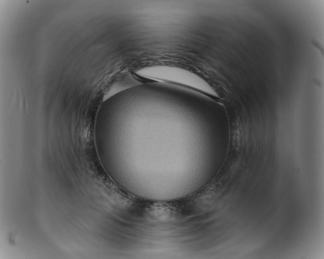 X0000099380608200805221808