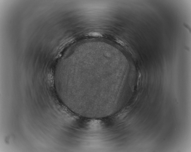 X0000099380609200805221808