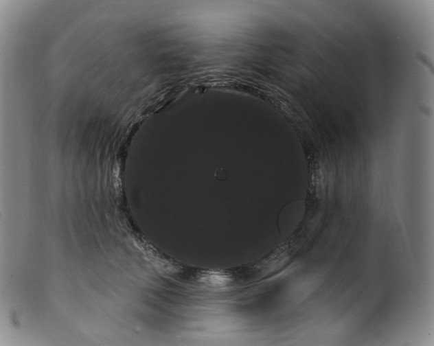 X0000099380610200805221808