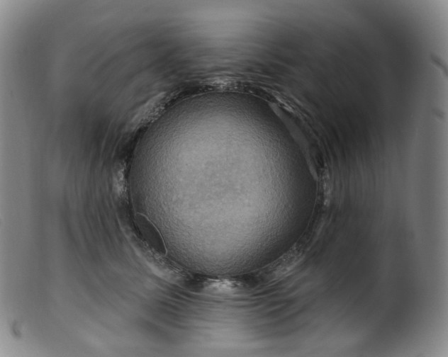 X0000099380611200805221808