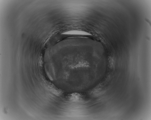 X0000099380612200805221808