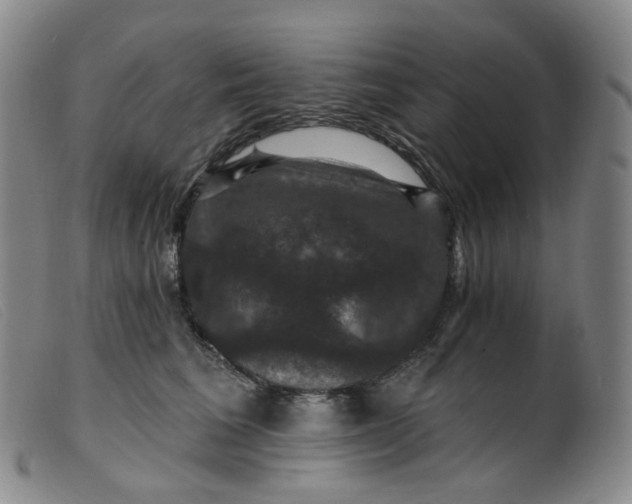 X0000099380613200805221808