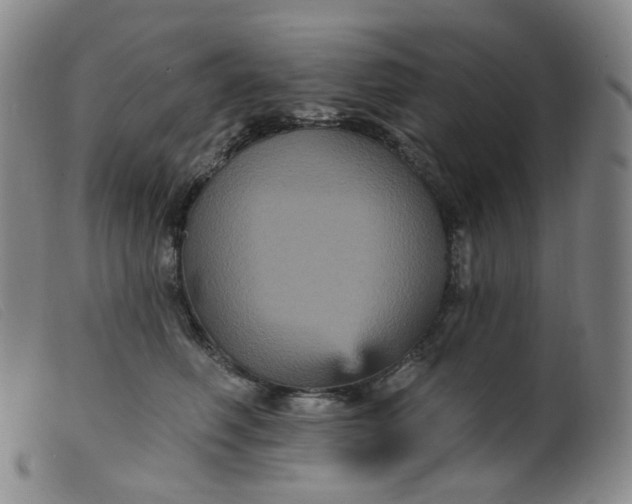 X0000099380614200805221808