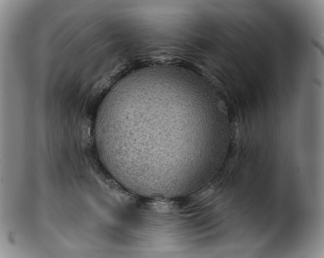 X0000099380615200805221808