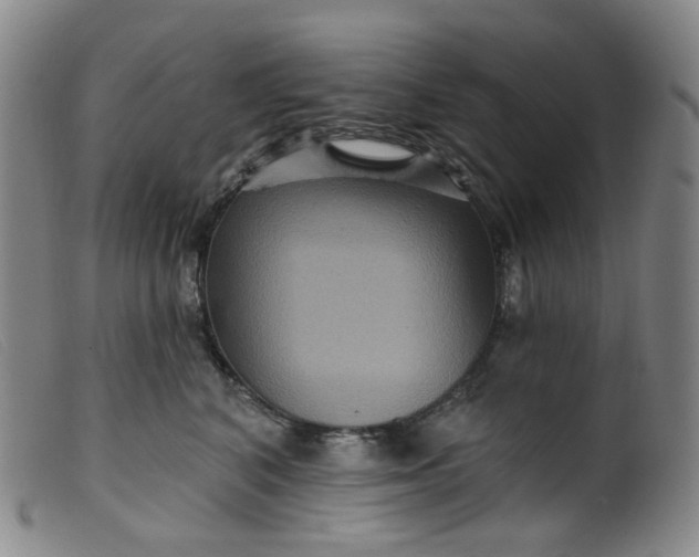 X0000099380616200805221808