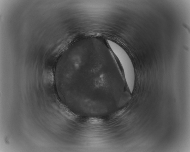 X0000099380617200805221808