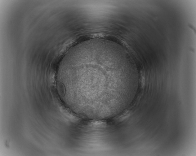 X0000099380619200805221808