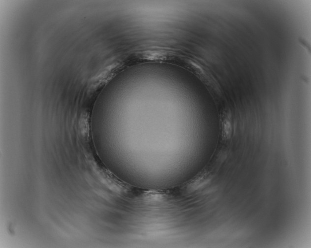 X0000099380620200805221808