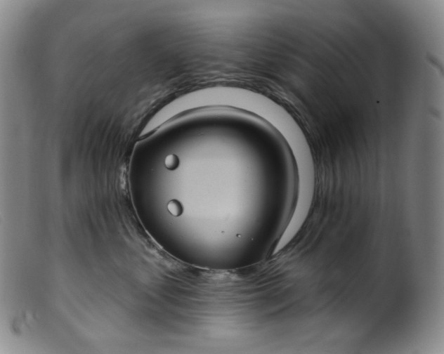 X0000099380621200805221808