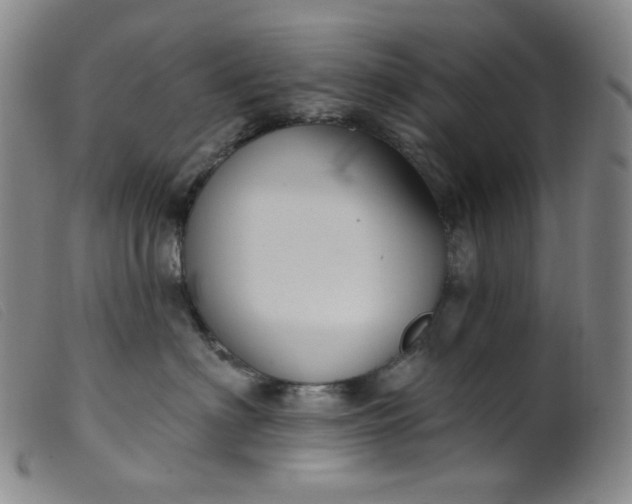 X0000099380622200805221808