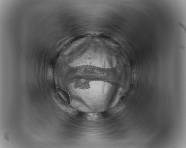 X0000099380623200805221808