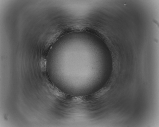 X0000099380624200805221808