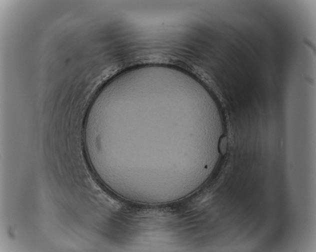 X0000099380625200805221807