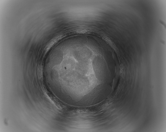 X0000099380626200805221807