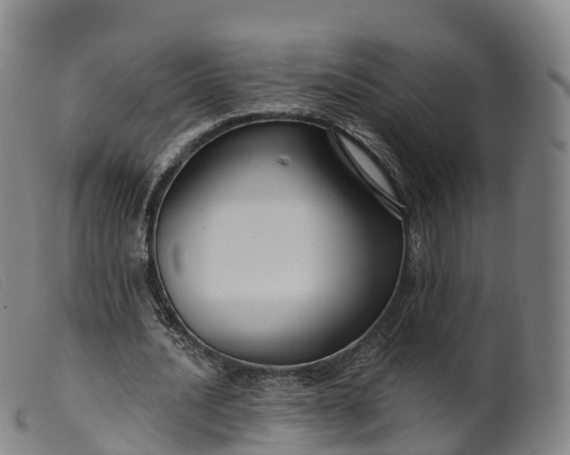 X0000099380628200805221807