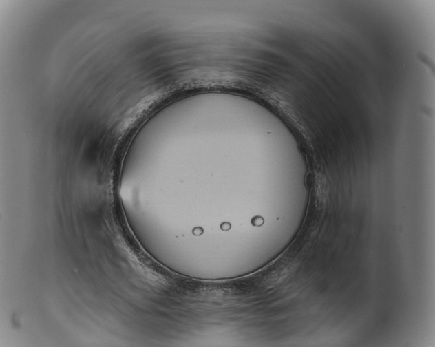 X0000099380629200805221807