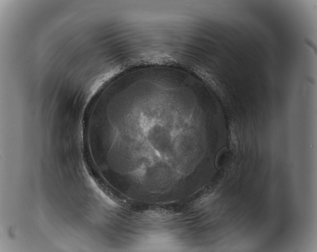 X0000099380630200805221807