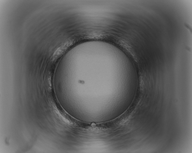 X0000099380633200805221807