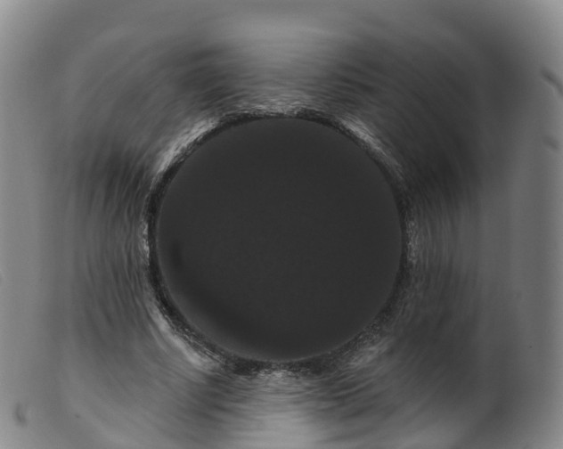 X0000099380634200805221807