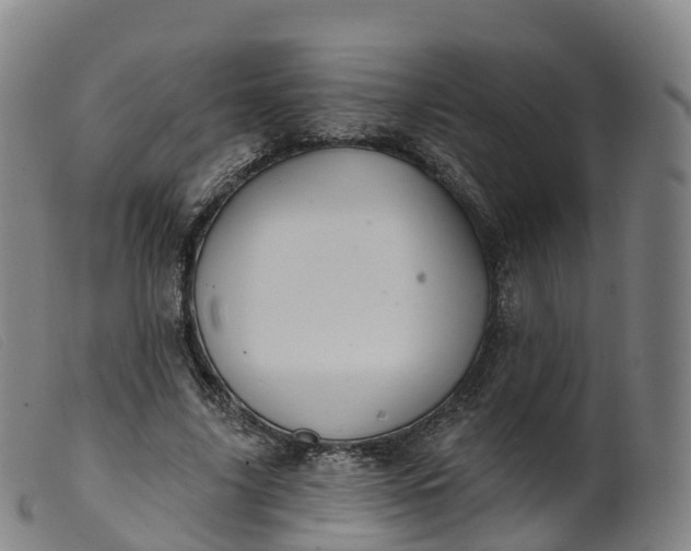 X0000099380635200805221807