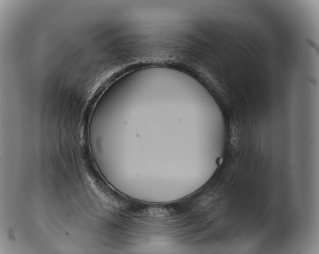 X0000099380636200805221807