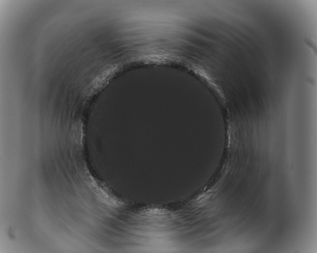 X0000099380637200805221807