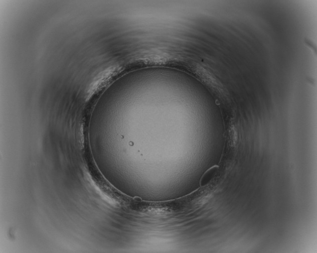 X0000099380638200805221807