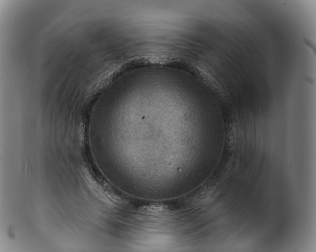 X0000099380639200805221807