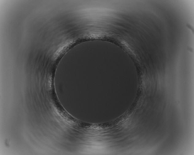 X0000099380640200805221807