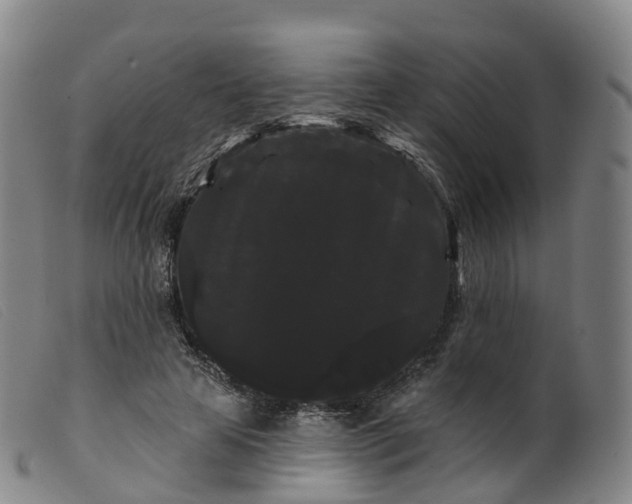 X0000099380641200805221807