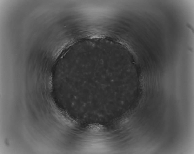 X0000099380642200805221807