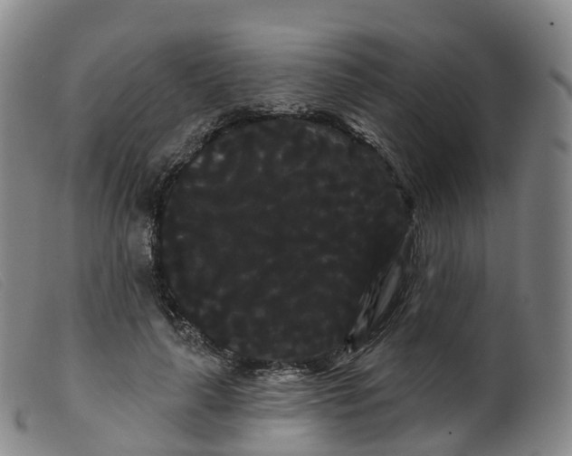 X0000099380643200805221807