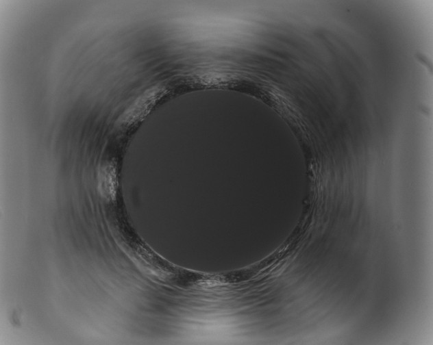 X0000099380644200805221807