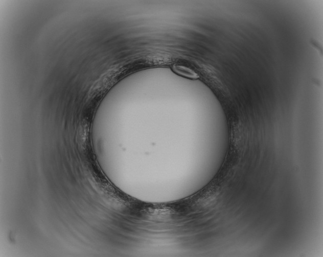 X0000099380645200805221807