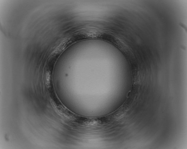 X0000099380646200805221807