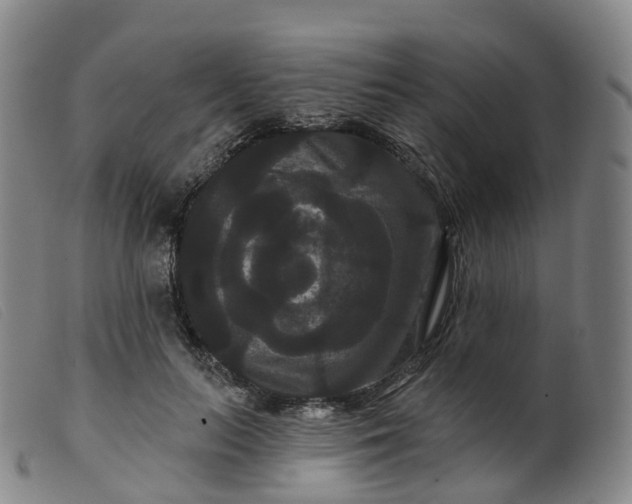 X0000099380647200805221807