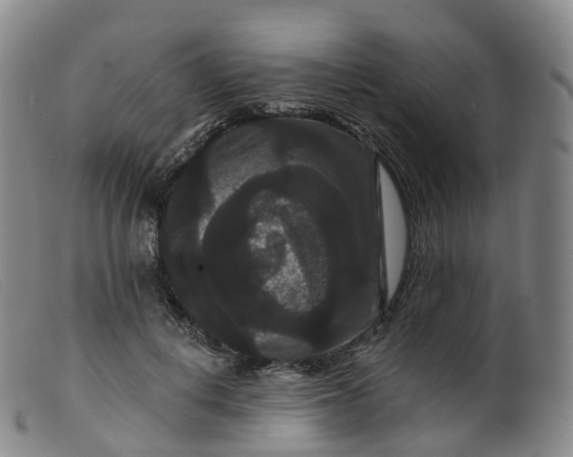 X0000099380648200805221807