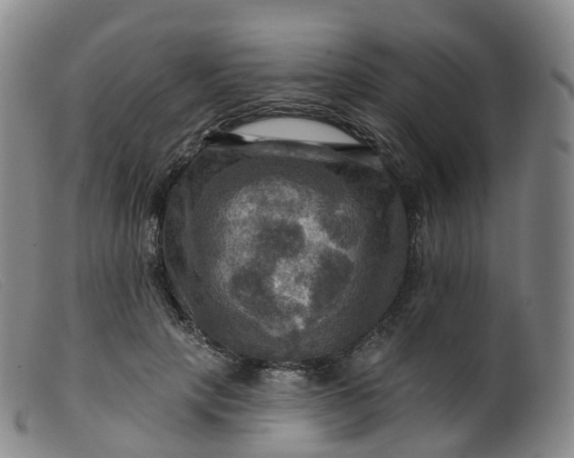 X0000099380649200805221807