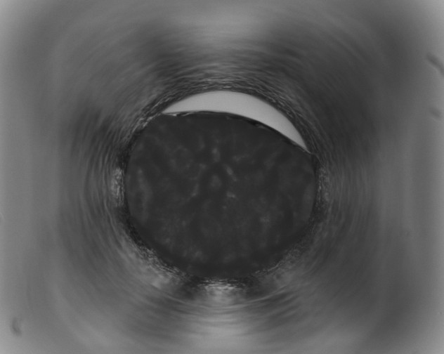 X0000099380650200805221807