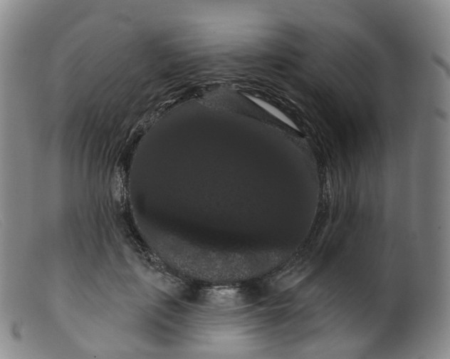 X0000099380651200805221807